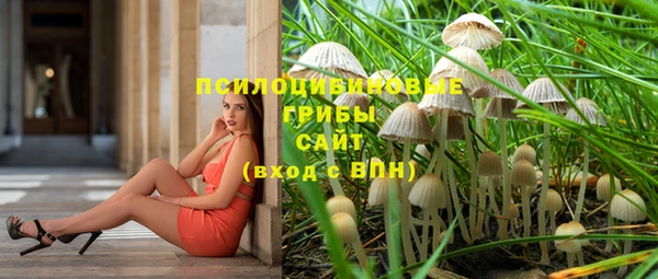 дурь Кукмор