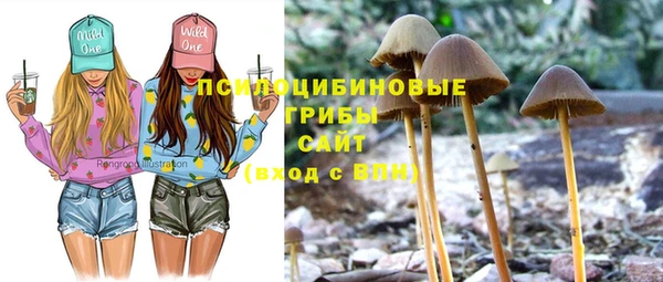 СК Кулебаки