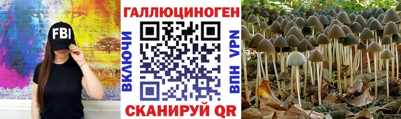 Псилоцибиновые грибы ЛСД Купить Щёлкино